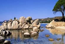 天涯论坛白银论坛：白银用户汇聚之地，火热贴吧风云再起